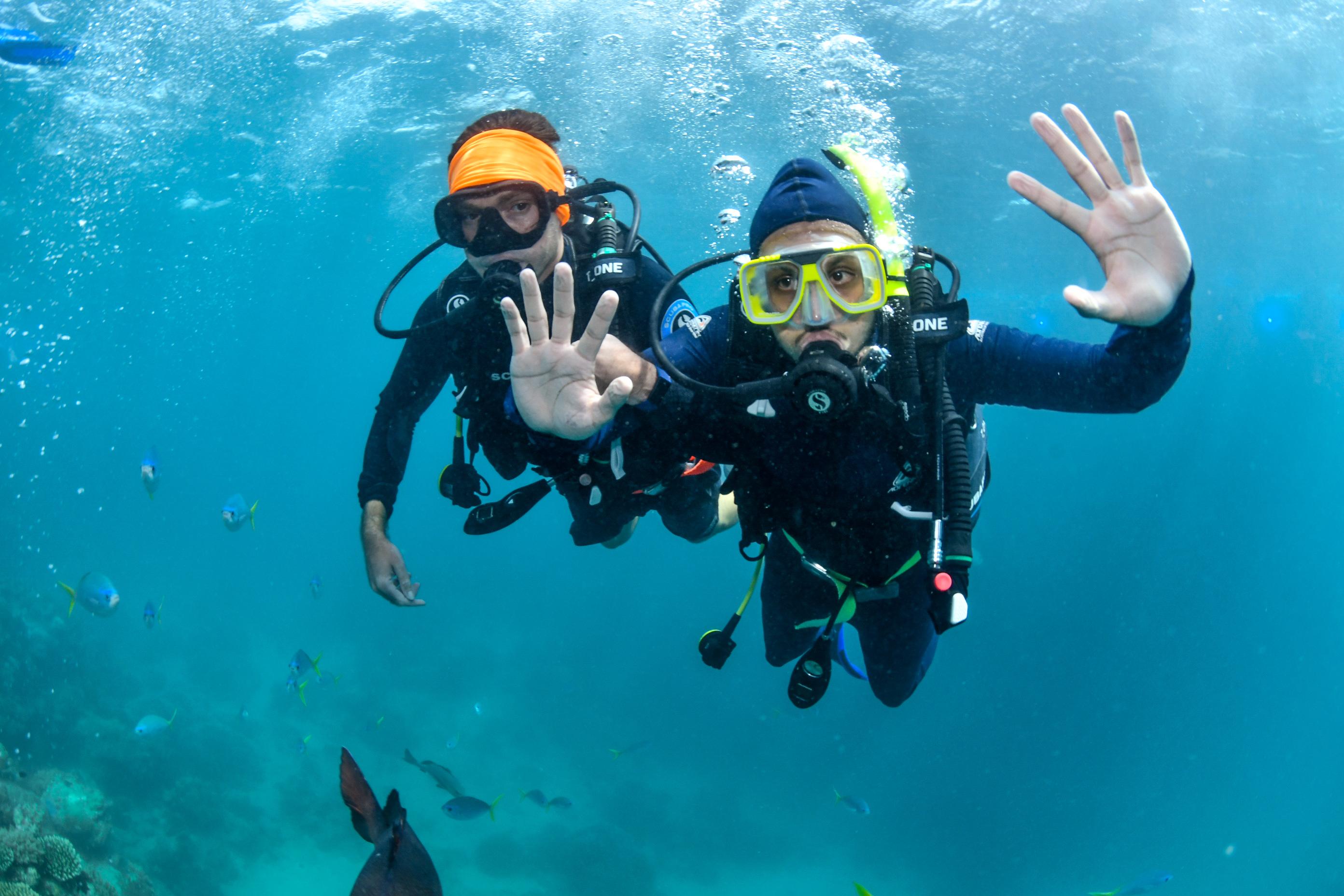 Two people scuba diving